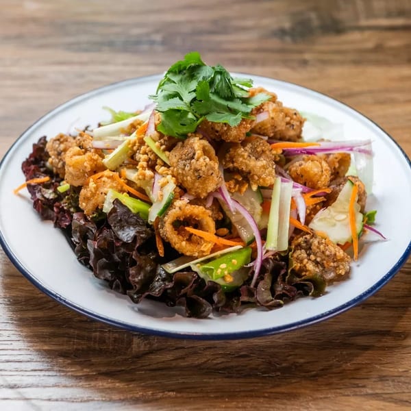 Crispy calamari salad with red lettuce, cucumber, carrots, red onion, and cilantro on a white plate.