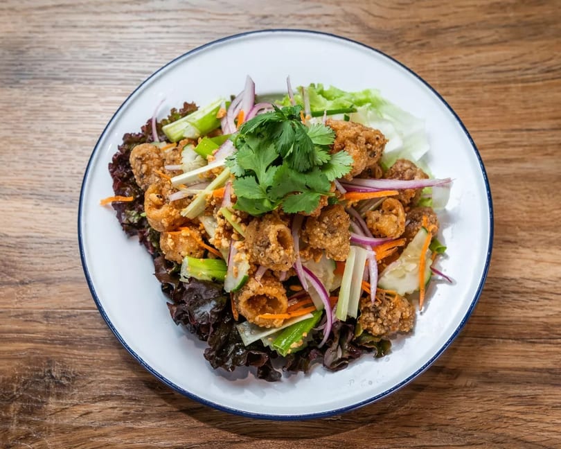 Crispy fried calamari salad with red onion, cucumber, carrots, and cilantro on a white plate.